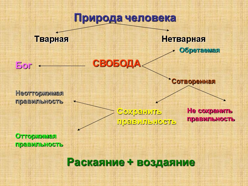 Природа человека СВОБОДА Бог Сотворенная Обретаемая Сохранить правильность Не сохранить правильность Неотторжимая правильность Отторжимая